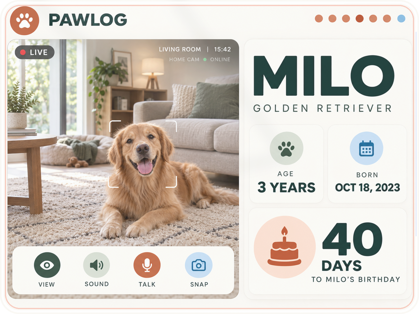Pawlog app concept with a pet camera view and birthday countdown